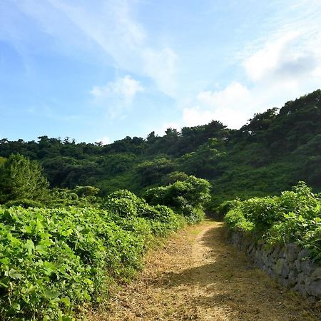 Hidden Cliff Hotel And Nature Σεογκουίπο Εξωτερικό φωτογραφία