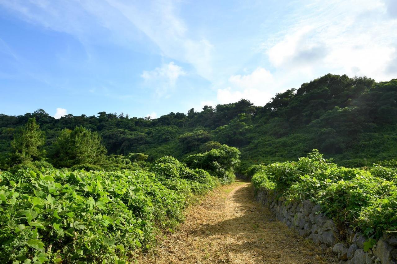Hidden Cliff Hotel And Nature Σεογκουίπο Εξωτερικό φωτογραφία